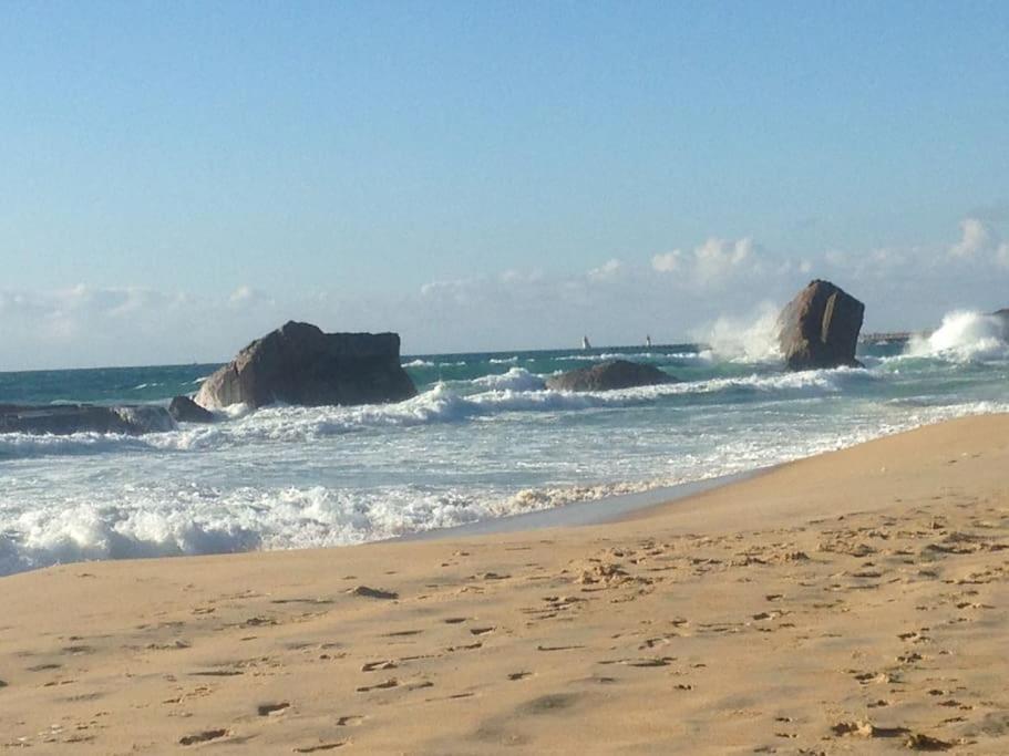 Cap Ocean-Studio Capbreton Zewnętrze zdjęcie